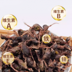 冻干猫零食猫咪零食生骨肉滋补磨牙洁齿补钙宠物狗狗成幼猫粮